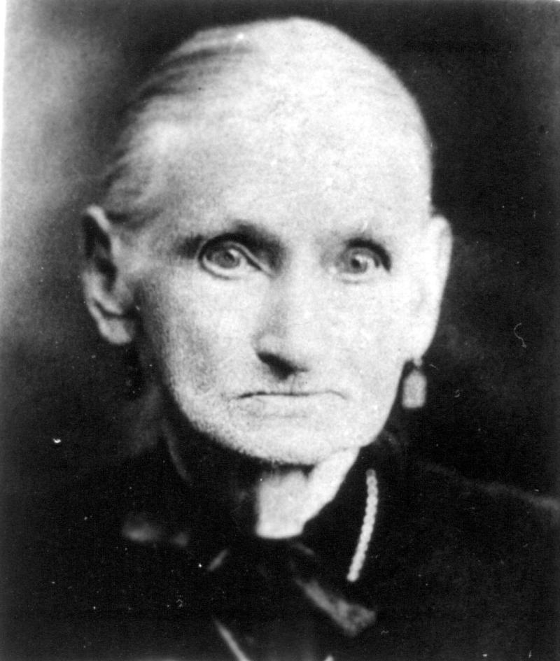 Fidelia Moses Benedict (1813 - 1910) Profile